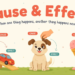 Cause and Effect